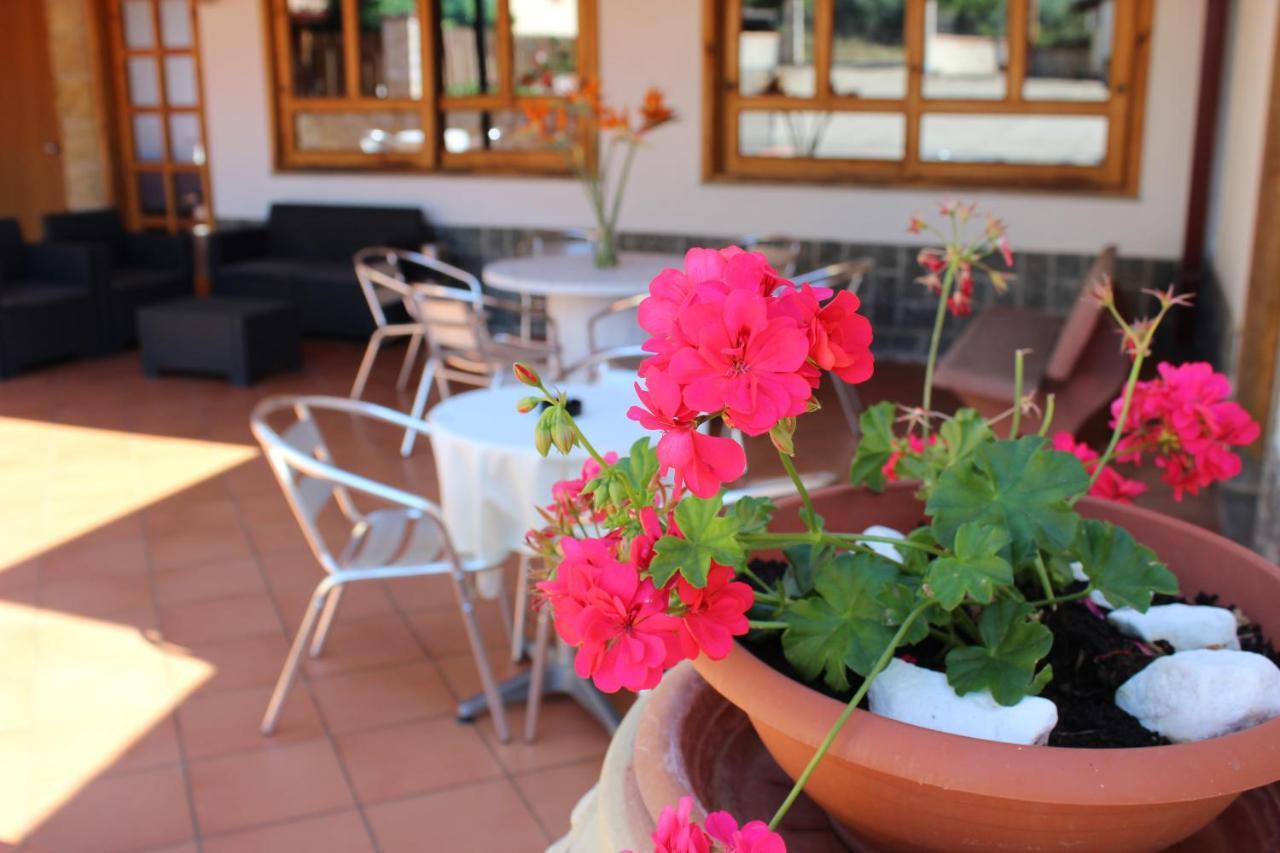 B&B La Vigna Lamezia Terme Εξωτερικό φωτογραφία