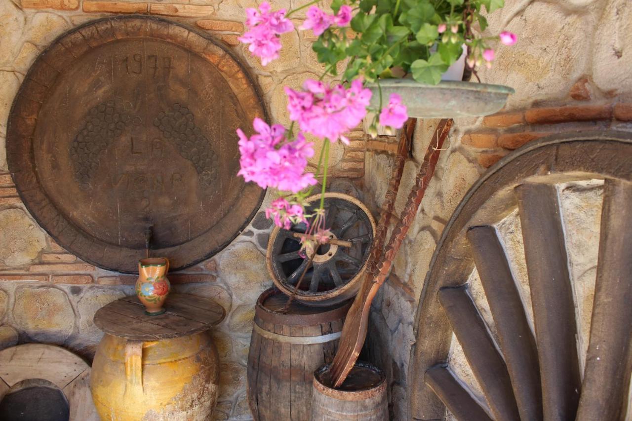 B&B La Vigna Lamezia Terme Εξωτερικό φωτογραφία