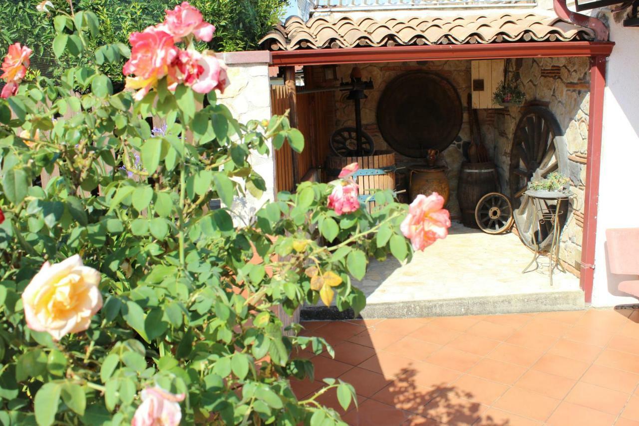B&B La Vigna Lamezia Terme Εξωτερικό φωτογραφία