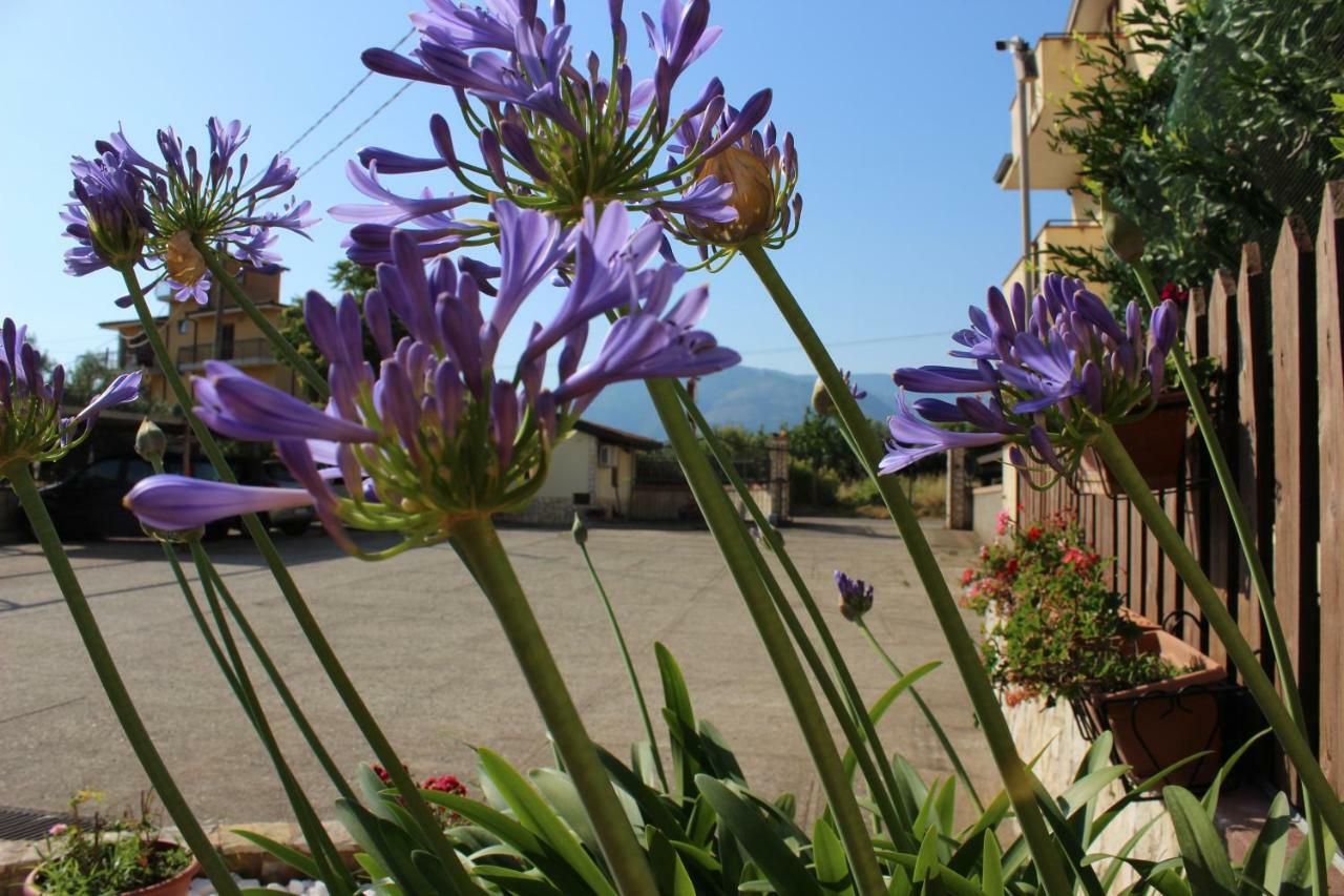 B&B La Vigna Lamezia Terme Εξωτερικό φωτογραφία